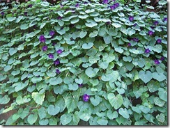 20110918